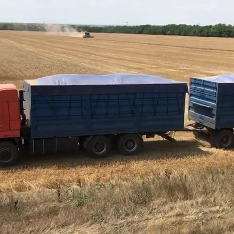Зерновоз КАМАЗ 65115 самосвал