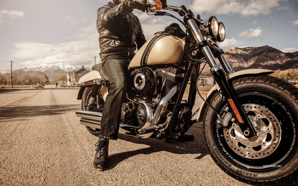 Harley Davidson fat Bob боббер