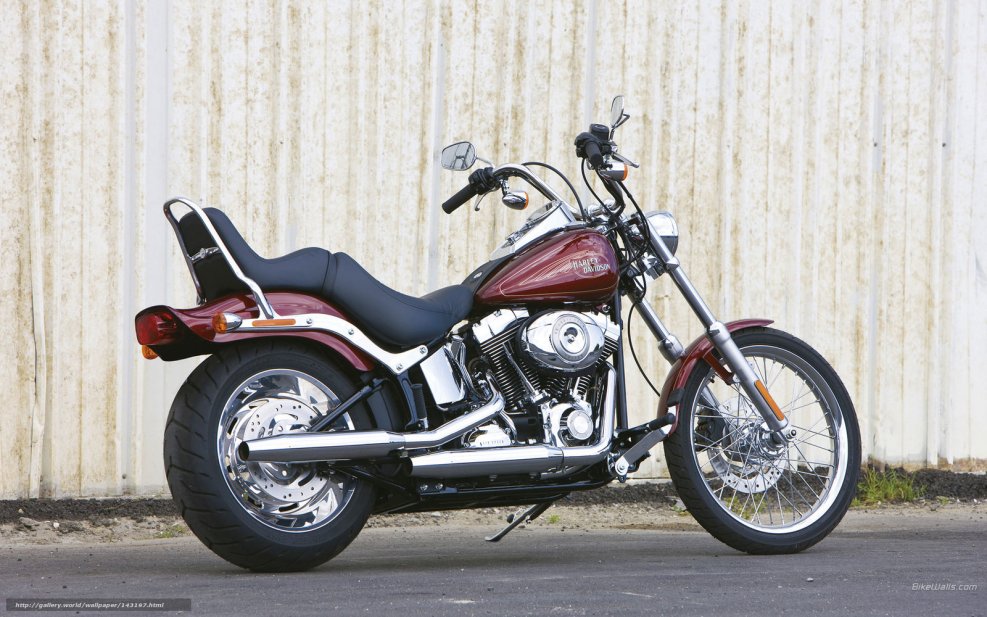 Harley Davidson Softail Custom 2009