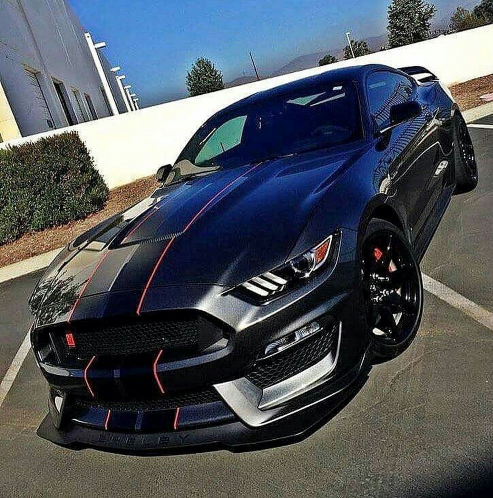 Мустанг gt 350