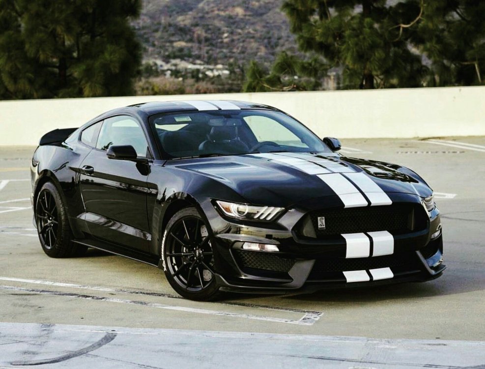 Ford Mustang Shelby gt 1000
