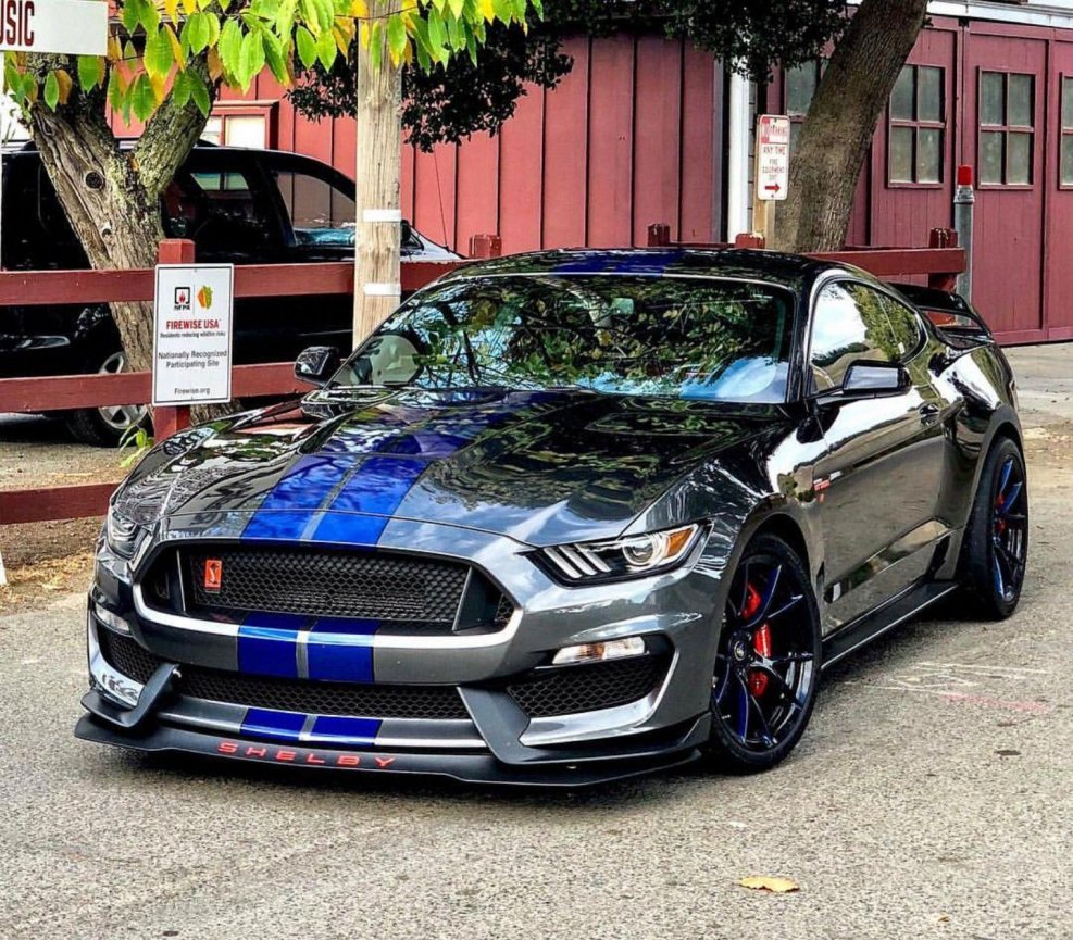 Ford Shelby gt500 super Snake 2010