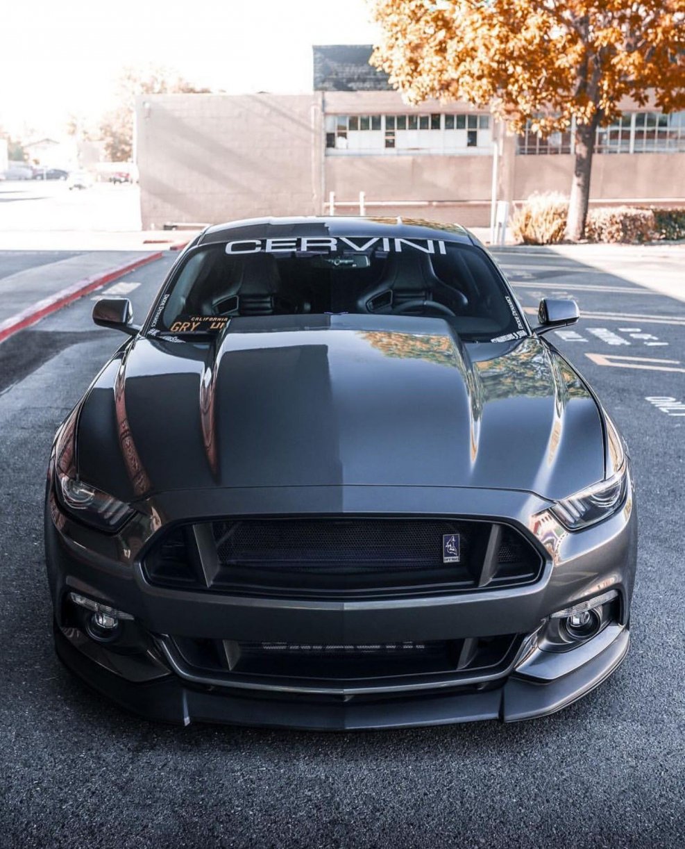 Ford Mustang Shelby gt500 2016