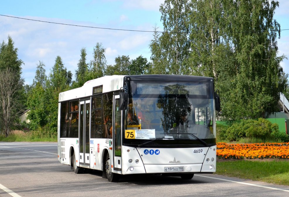 МАЗ 206 КУЗБАССБЕЛАВТО