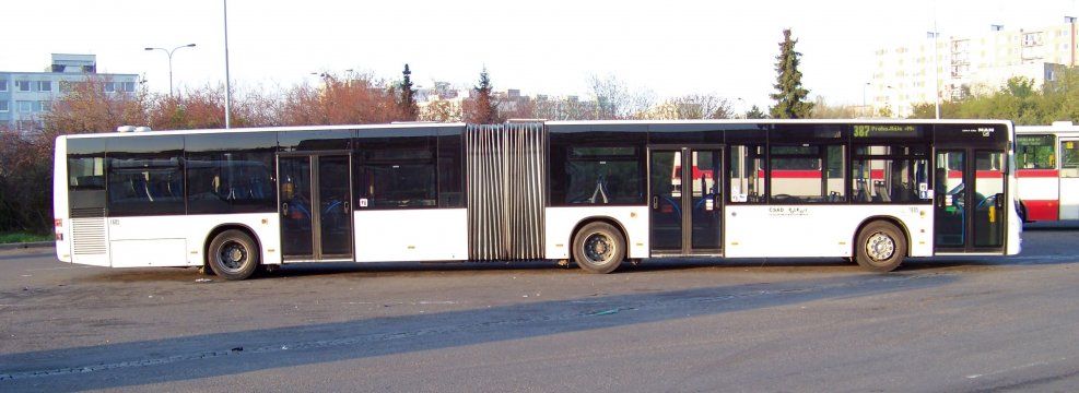 Автобус ман Лионс Сити гармошка