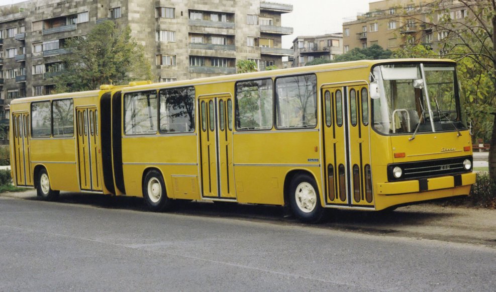 Man Lion 2006