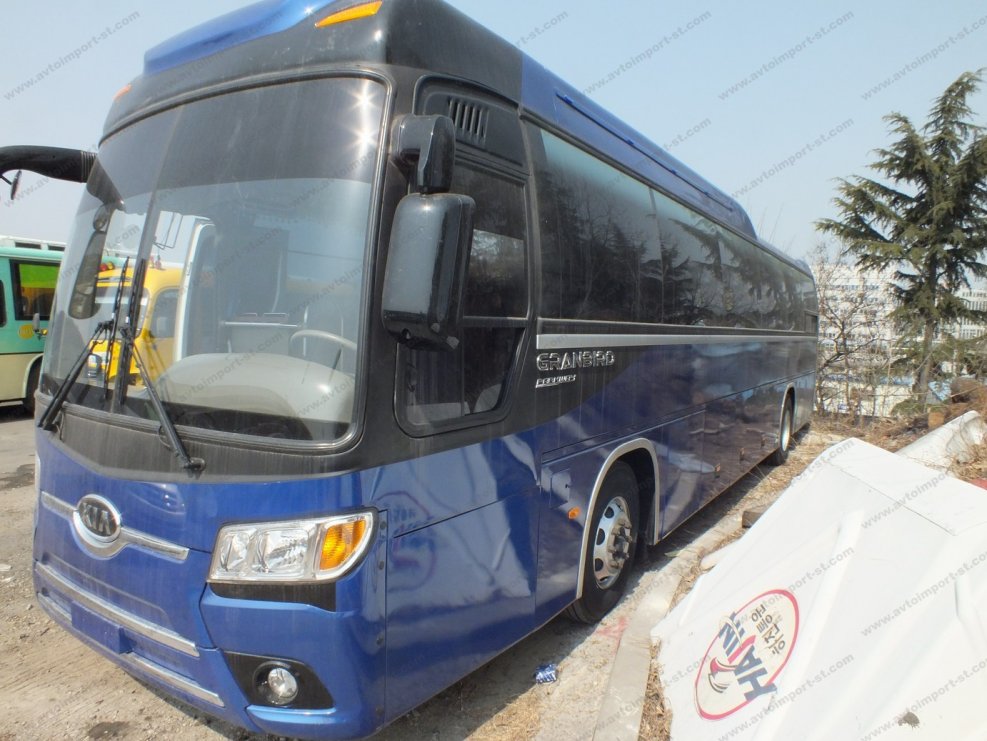 Kia Granbird