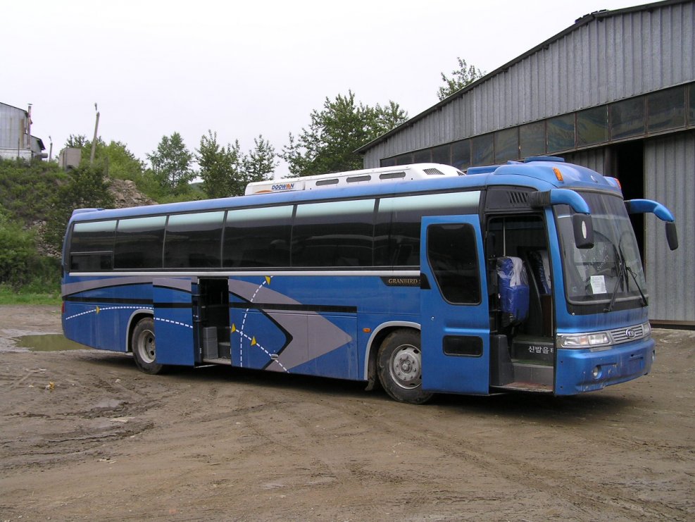 Автобус: Kia Grandbird (43)