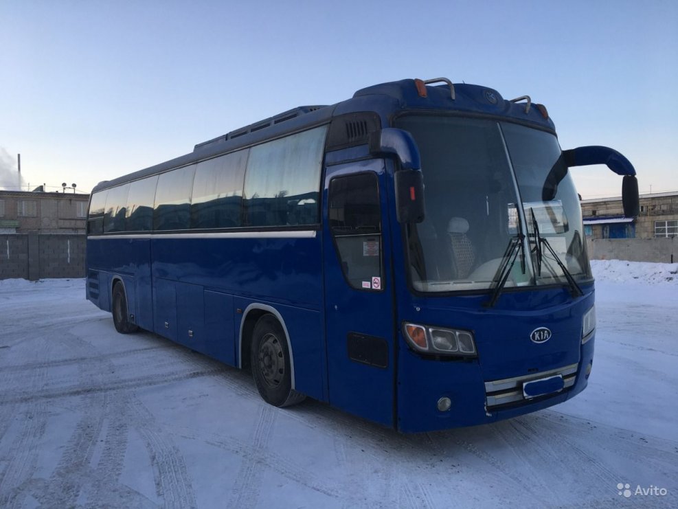 Kia Grandbird 292