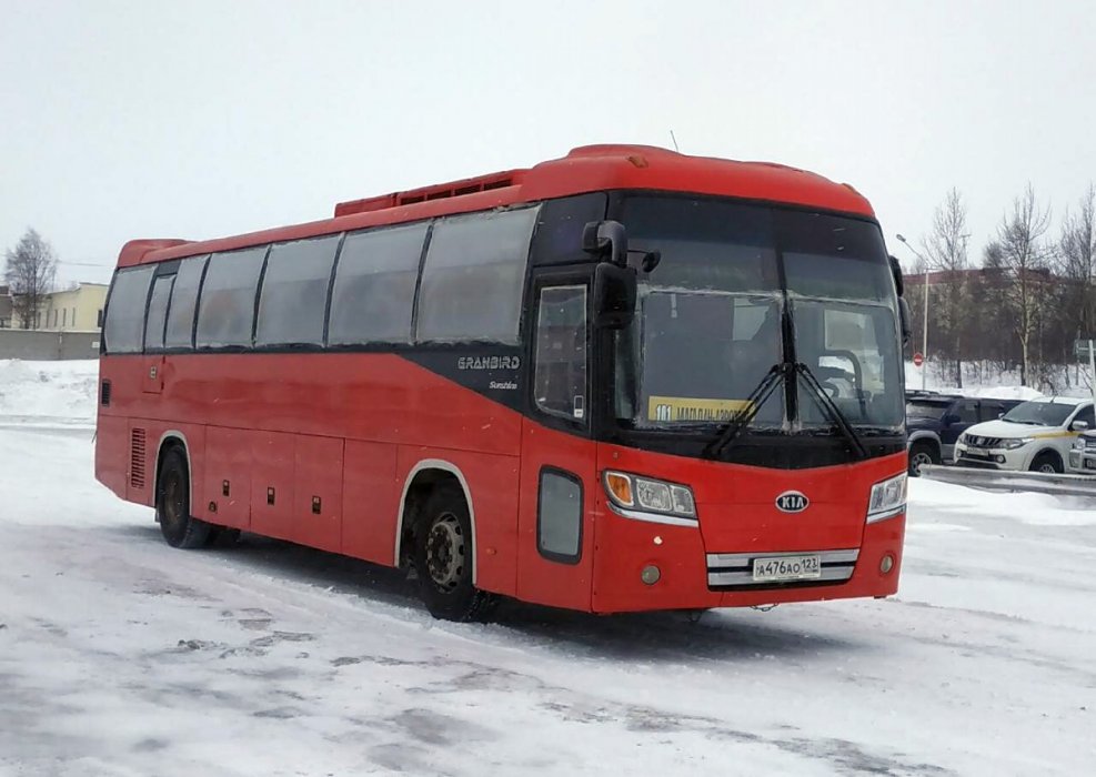 Kia Grandbird 524