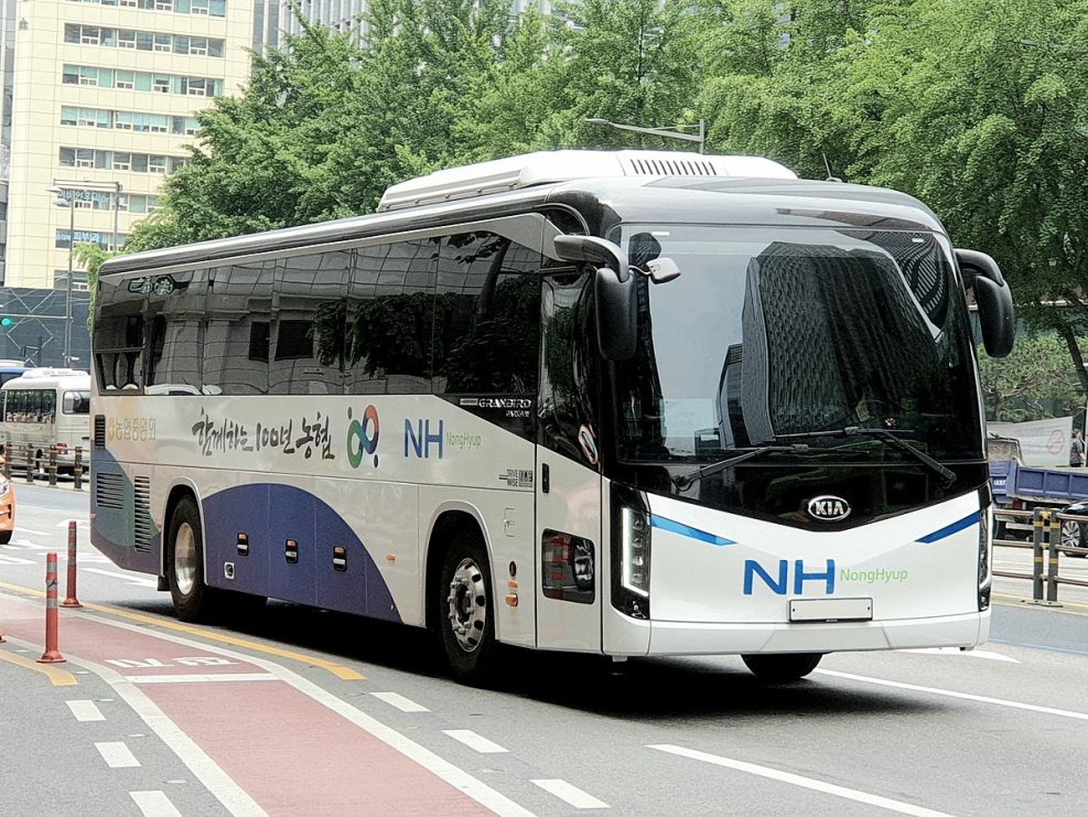 Kia Granbird 2020