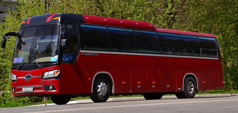 Kia Granbird белый цвет 2004