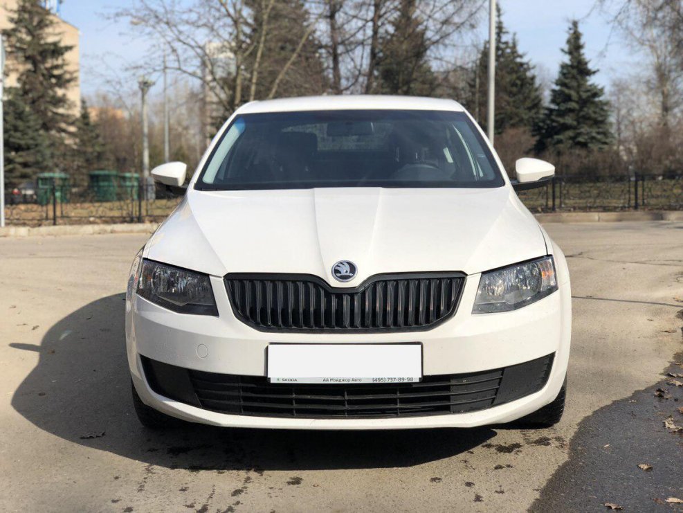 Школа Октавия 2015 белая