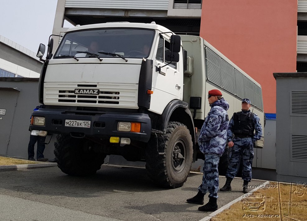 КАМАЗ 43114 вахта полиция