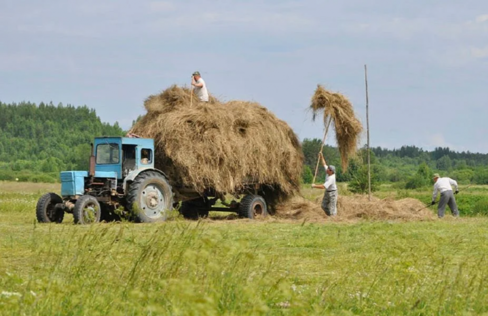 Живопись маслом трактор