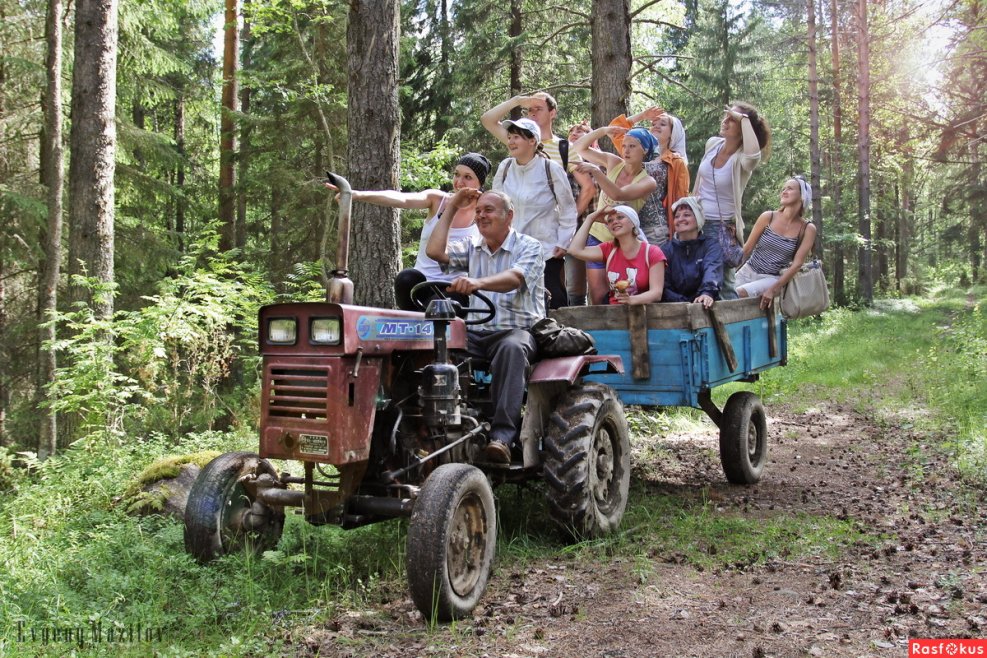 Трактор сено