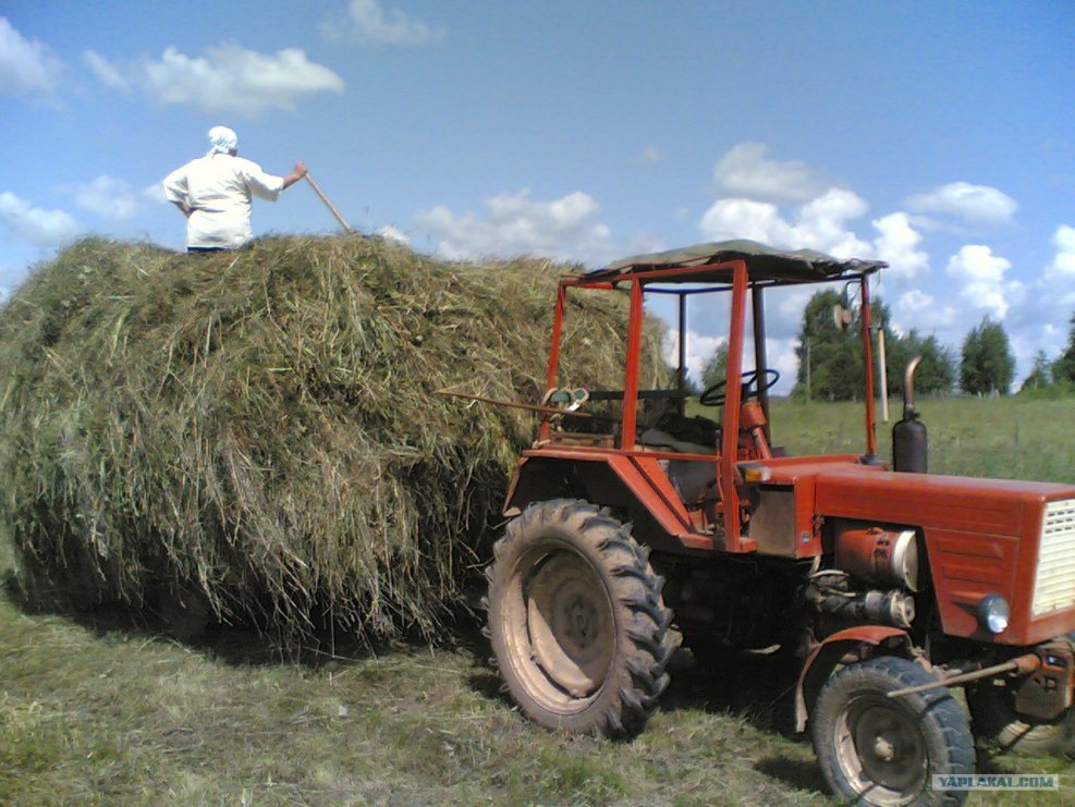 МТЗ 80 В деревне
