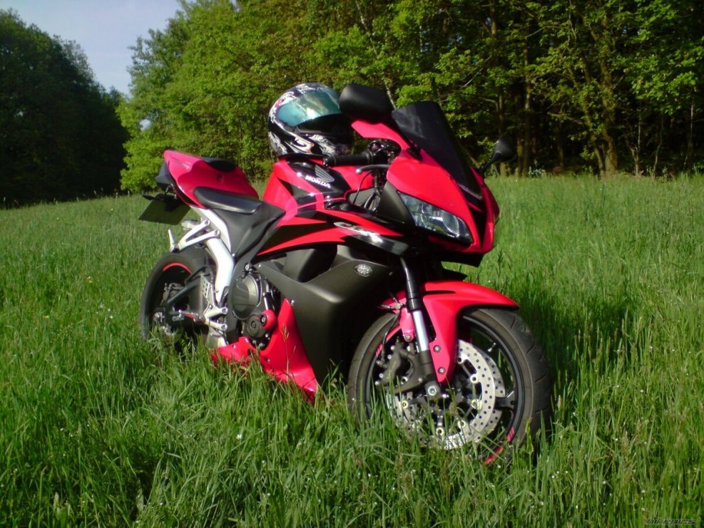Honda cbr600rr