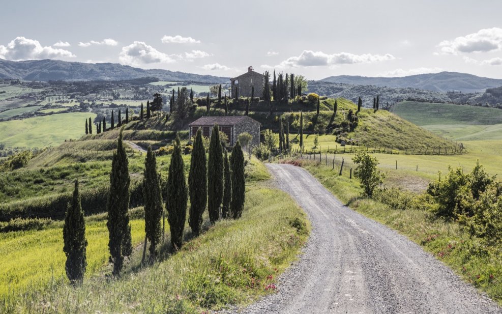 Col d'Orcia, Nearco, Sant' Antimo doc 2010