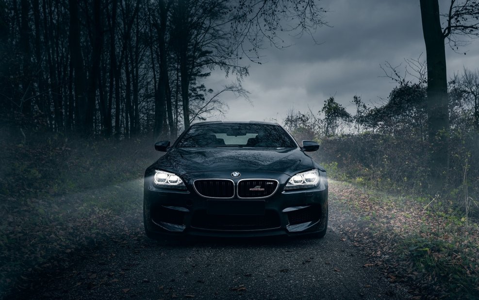 BMW m5 в лесу