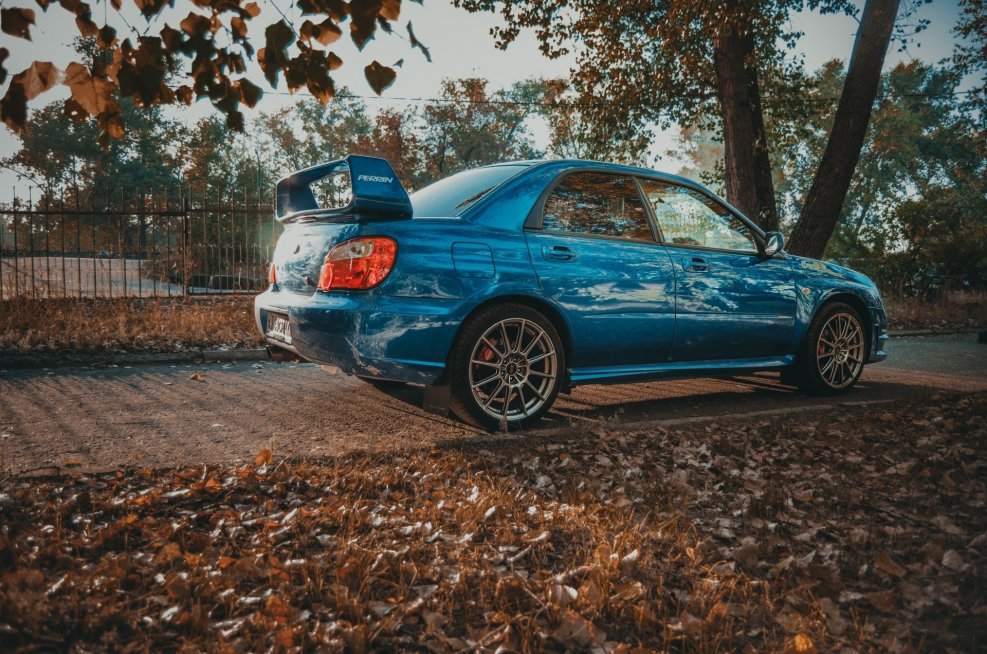 Subaru WRX STI лиса