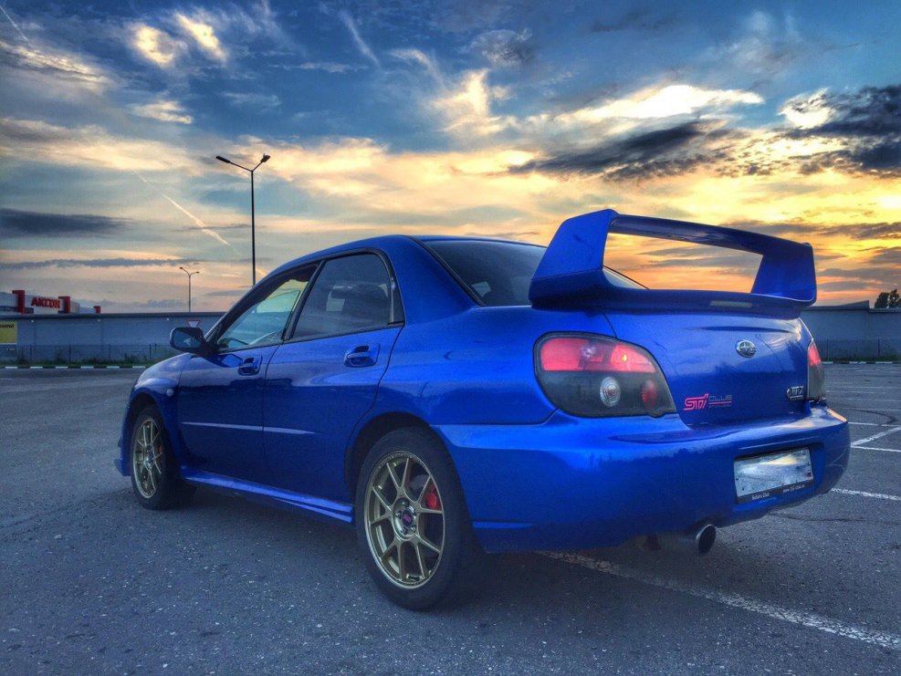 Subaru Impreza WRX лиса