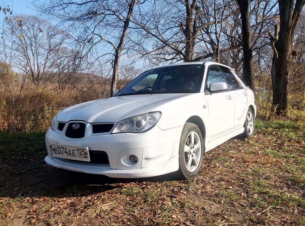Subaru WRX STI лиса
