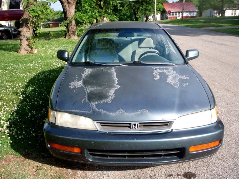 Honda Accord 97