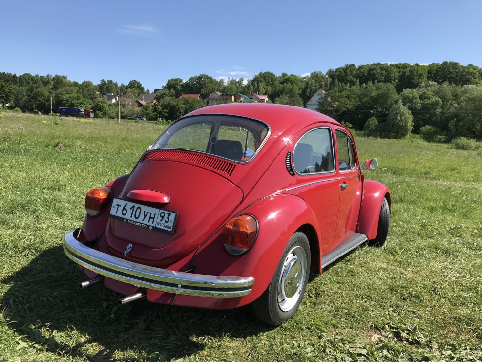 Beetle 1300