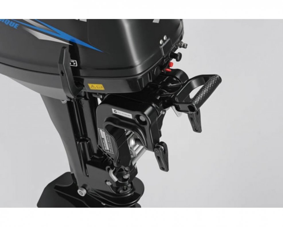 Suzuki 9.9 as