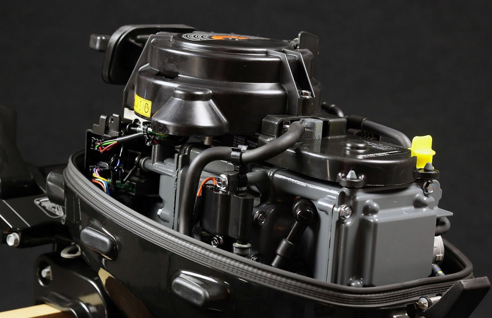 Suzuki DF 9.9 BS