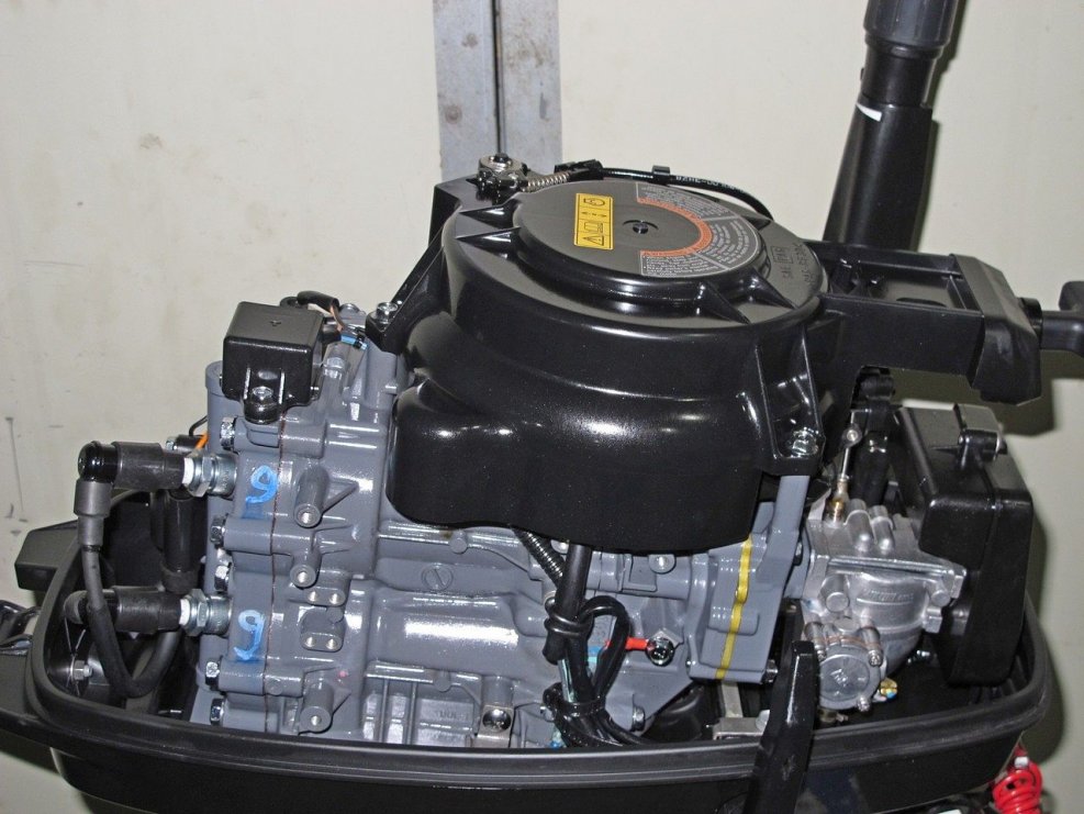 Мотор Сузуки DT 9.9 as