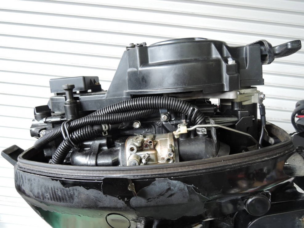 Suzuki DT 9.9 as