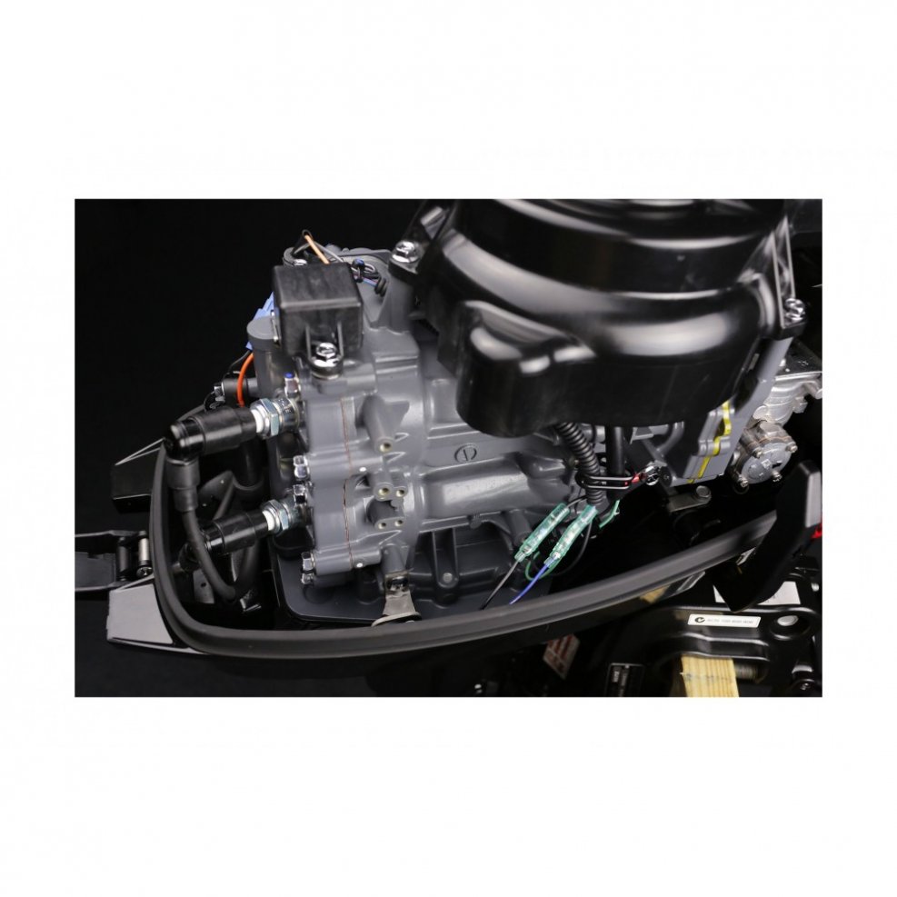Suzuki DT9.9as 2020