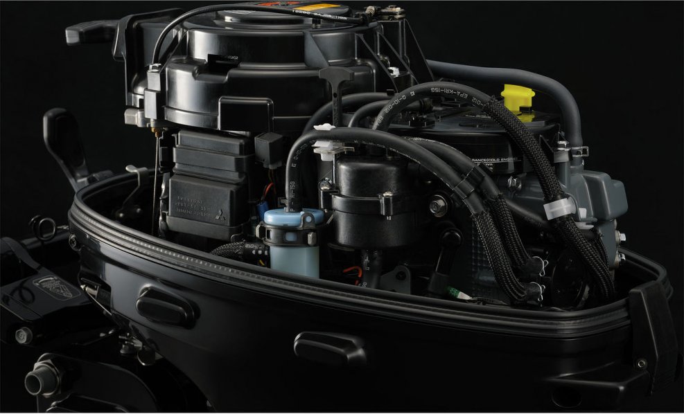 Suzuki DF 9.9 BS