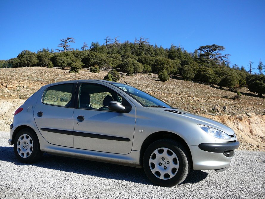Peugeot 206 2.0