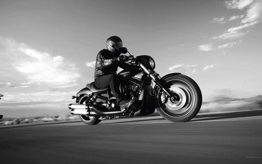 Harley Davidson
