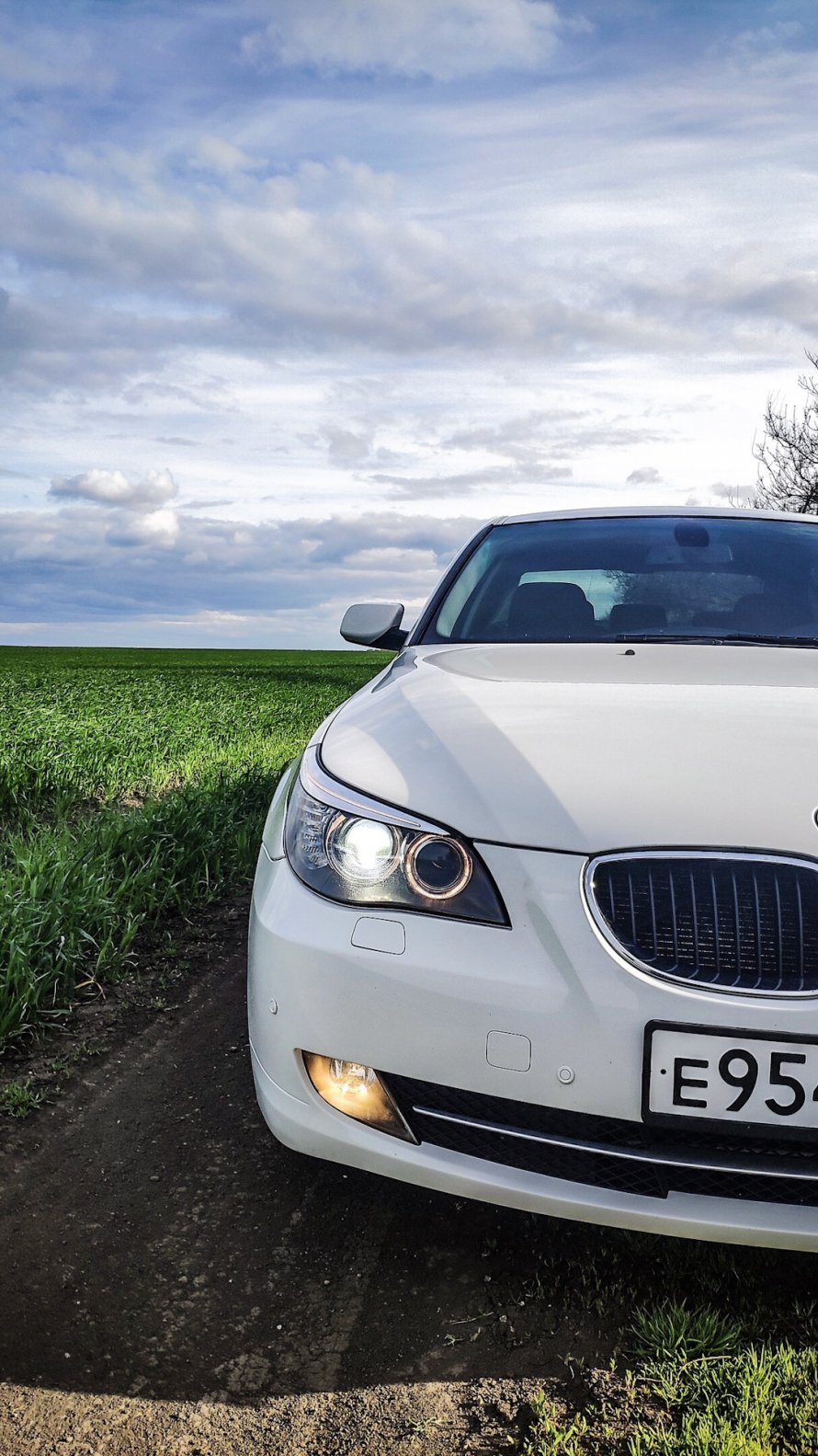 BMW лиса 525 e60