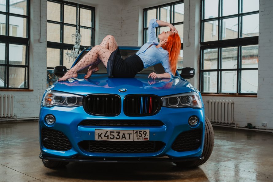 Лиса БМВ х6
