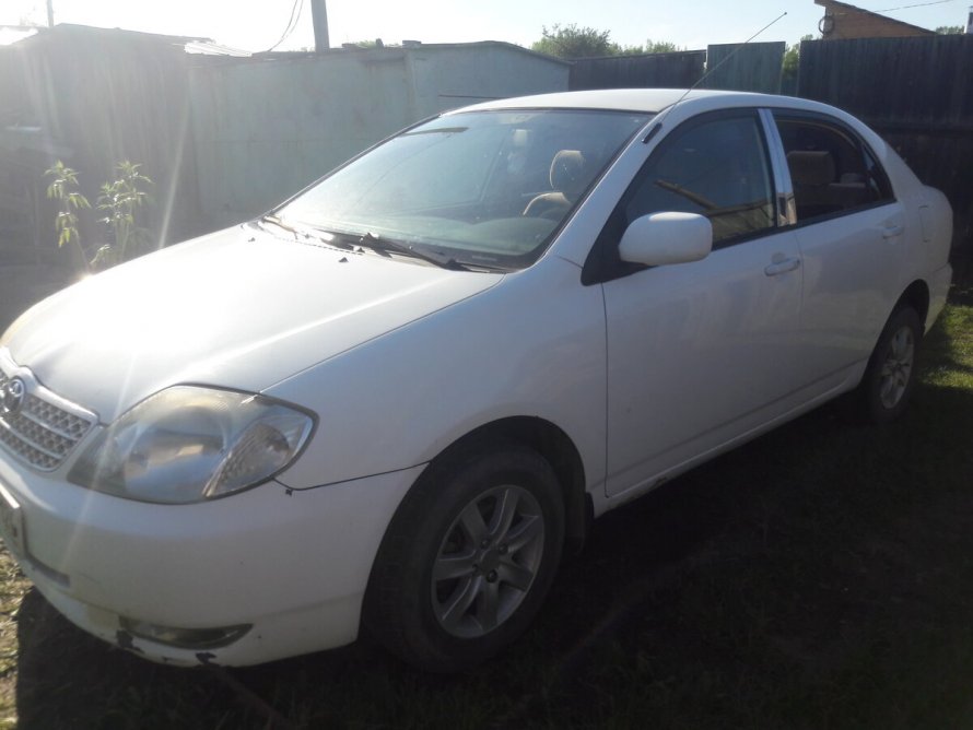 Toyota Corolla IX e120