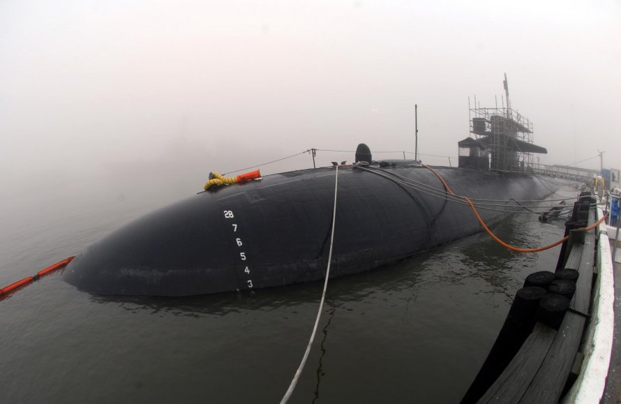Нарвал морской Единорог