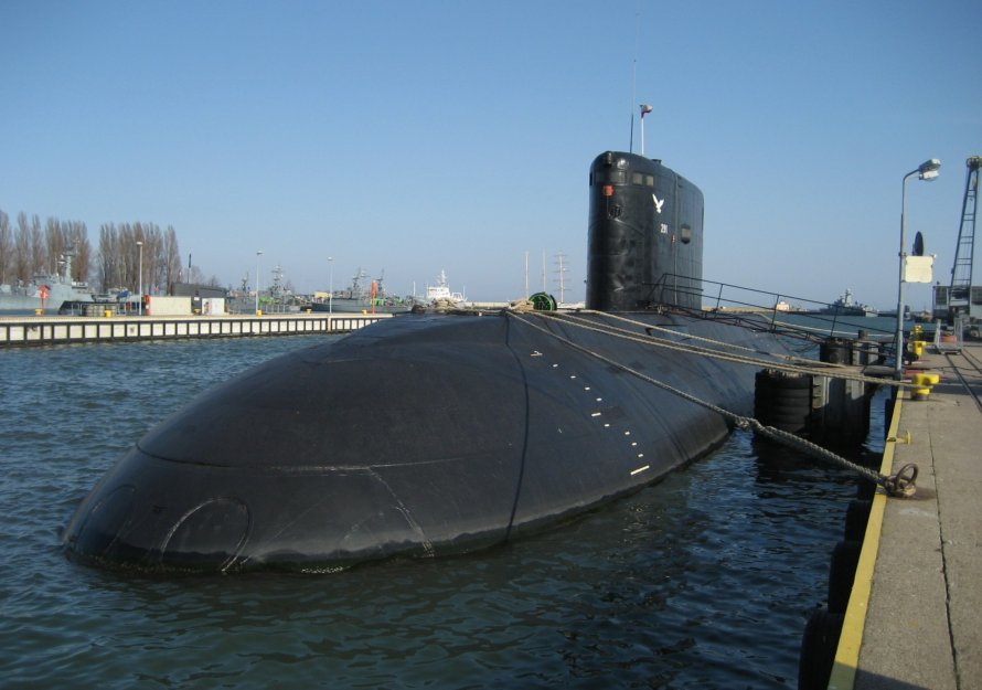 Лодки проекта 877 «палтус»