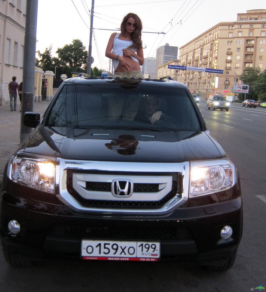 Honda Гуфа