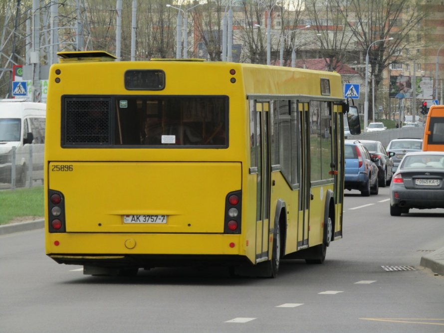 МАЗ-103 автобус фото