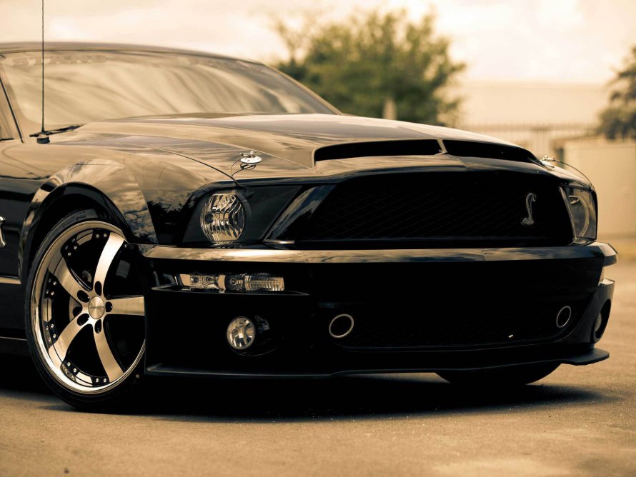 Форд Мустанг gt 500 черный
