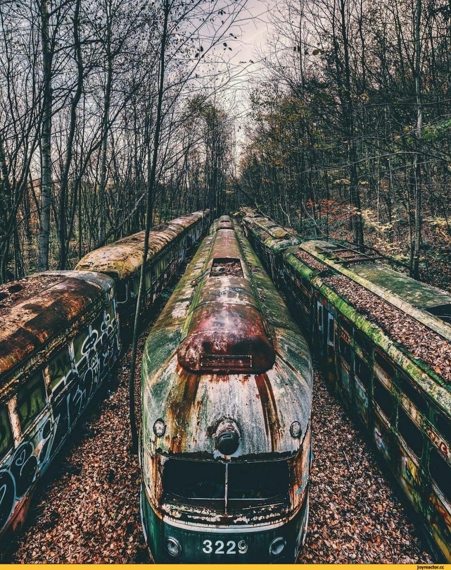 Заброшенная железная дорога