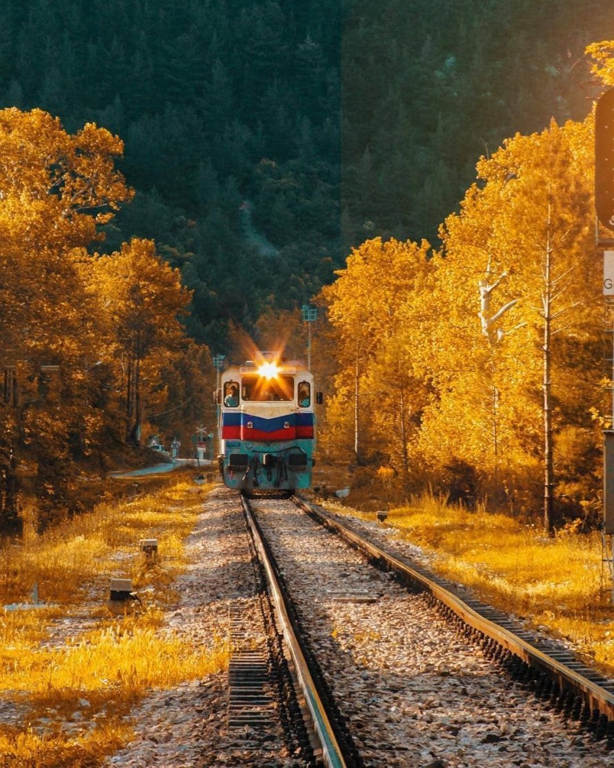 Поезд осень путешествие