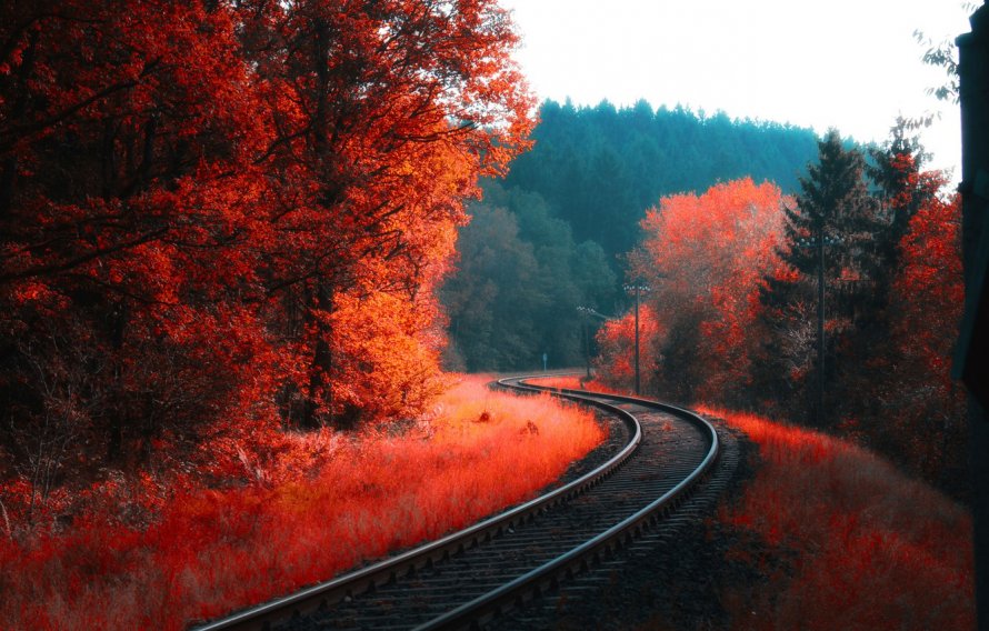 Осень рельсы
