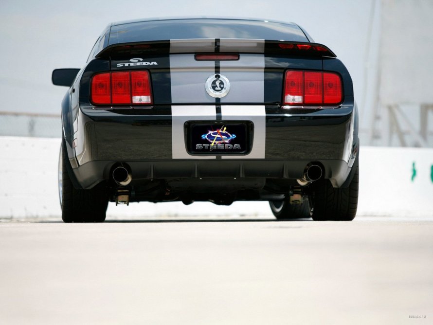 Ford Shelby gt500 сзади
