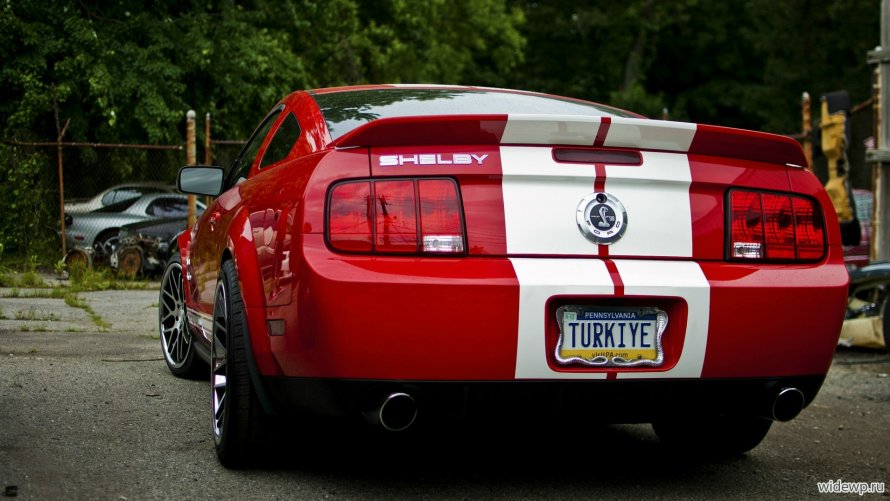 Ford Mustang gt 500 сзади